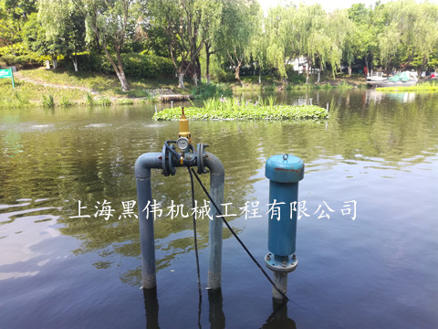 沉水式羅茨鼓風機的水下深度