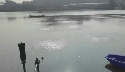 黑偉沉水風機助力杭州蕭山區(qū)某河道生態(tài)治理